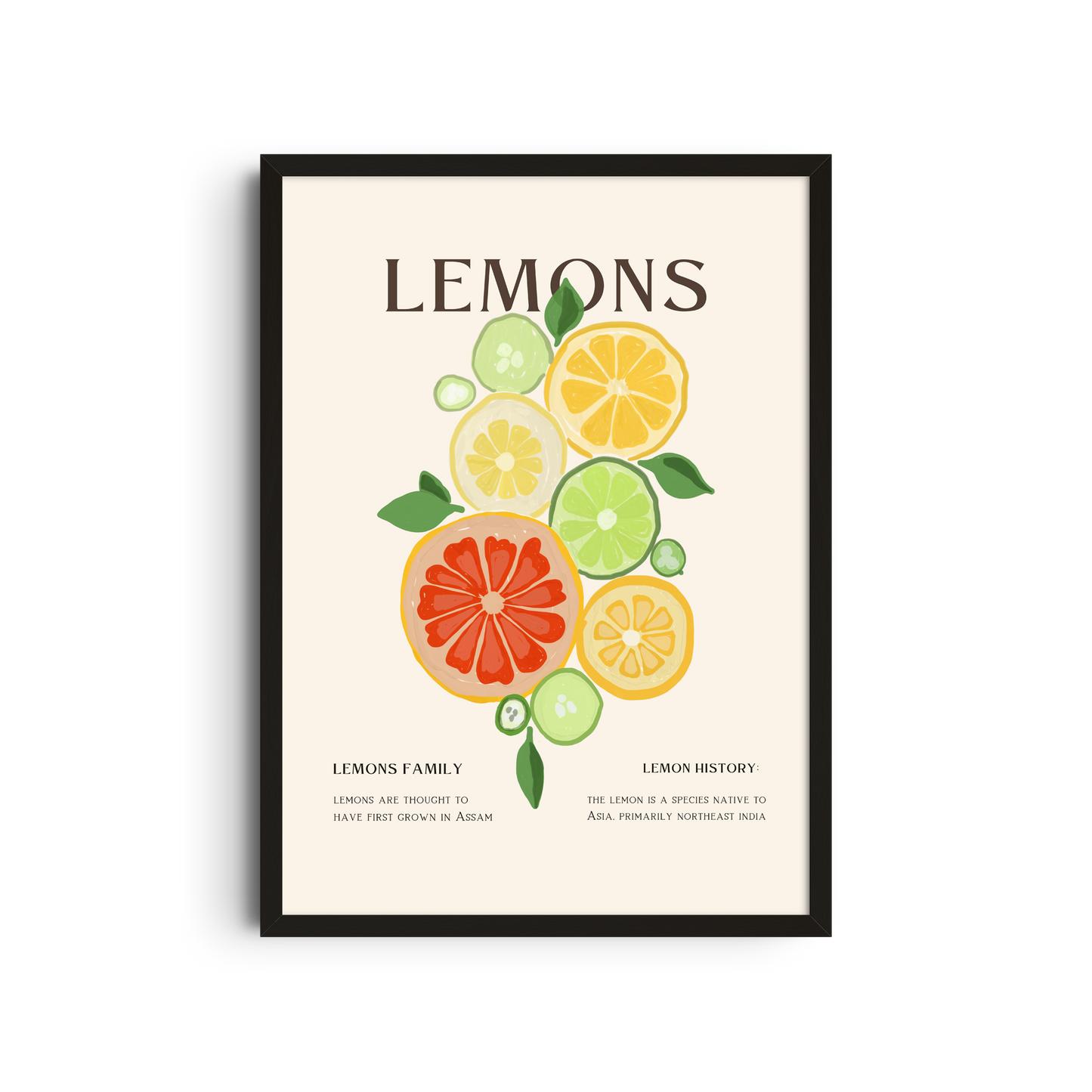 Citrus & Text