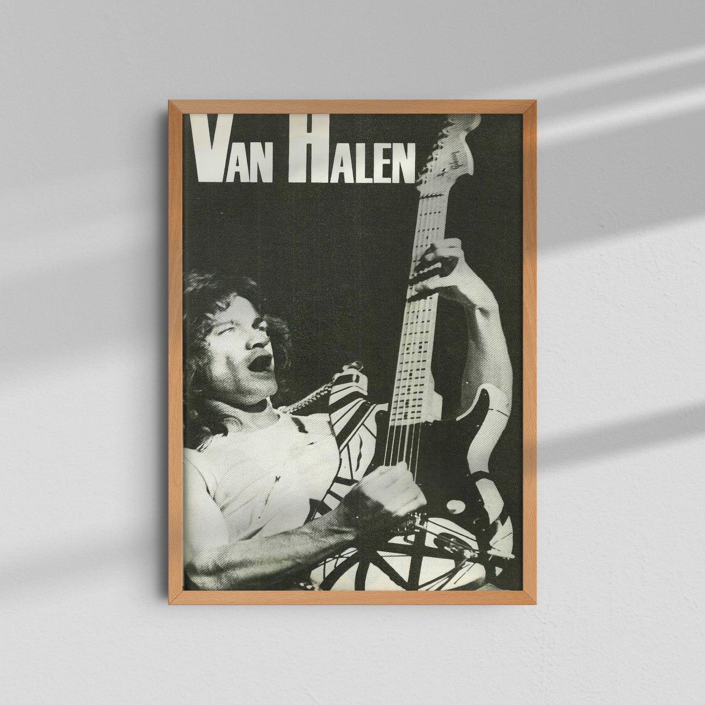 Van Halen - Black and White Guitar