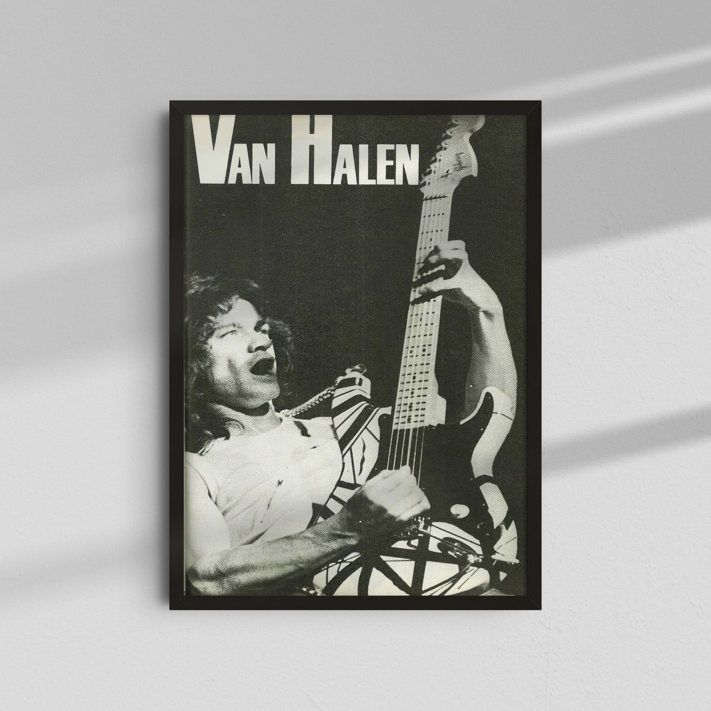 Van Halen - Black and White Guitar