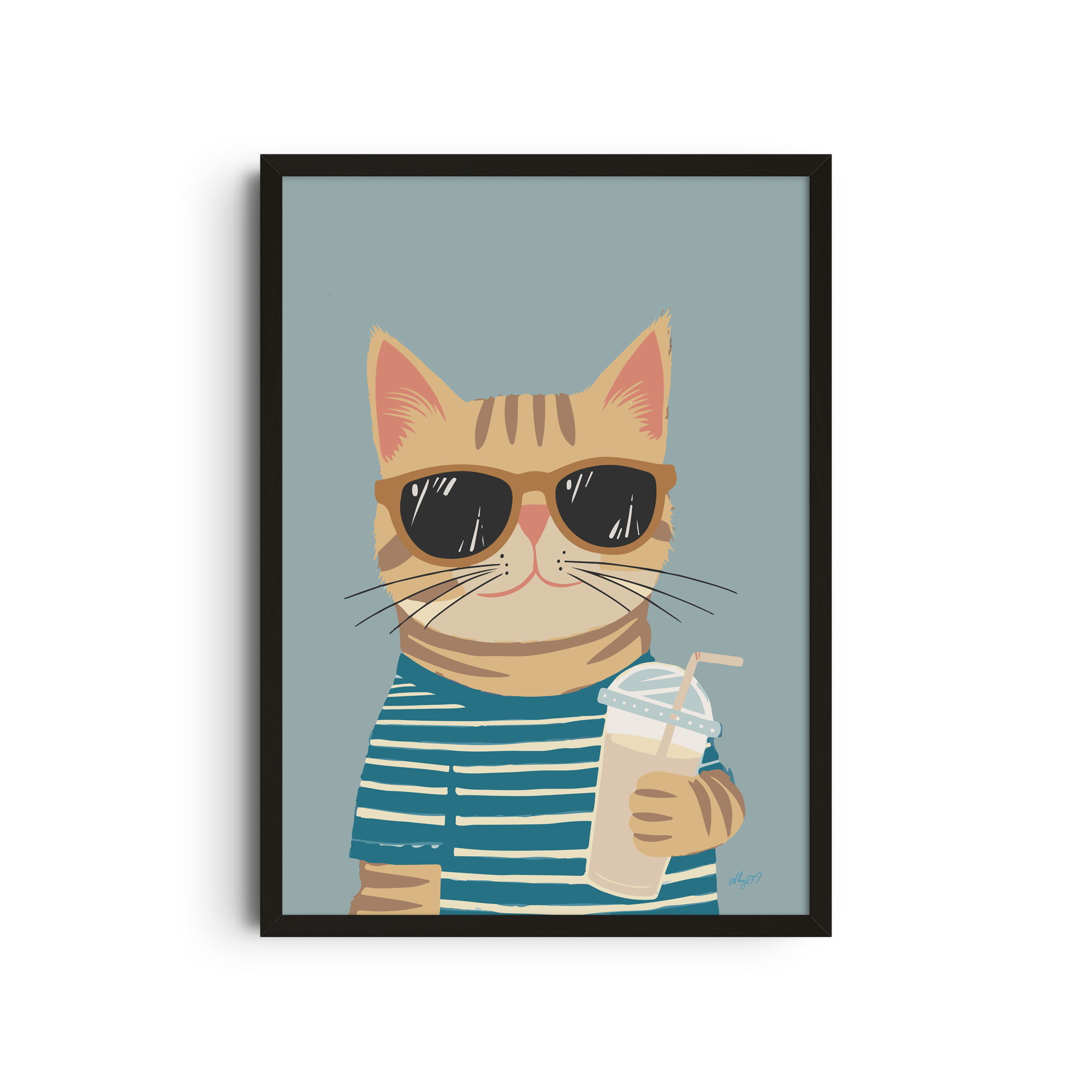 Gato Cool