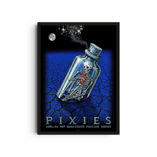 Pixies - Message in a Bottle