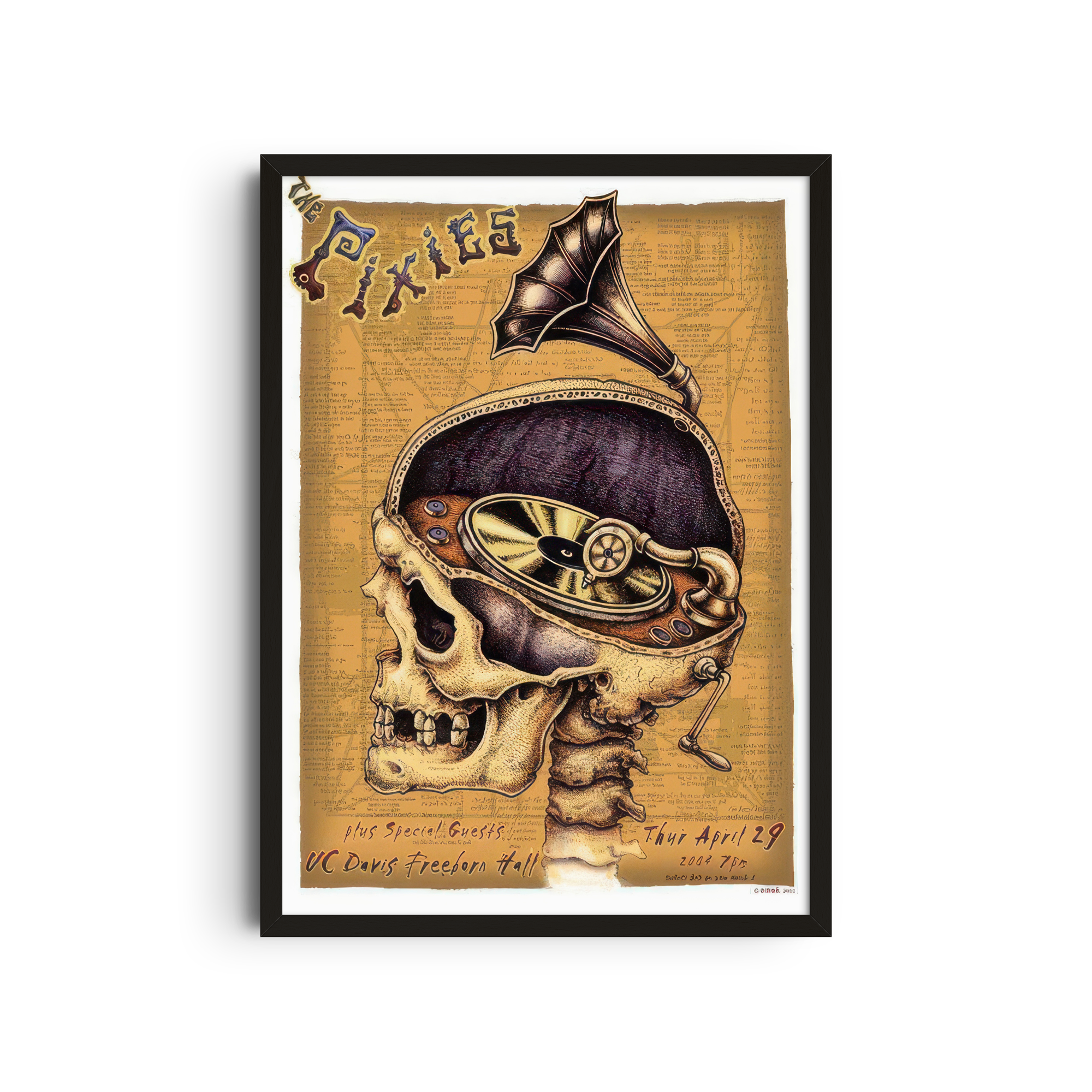 Pixies - Skull Top Hat