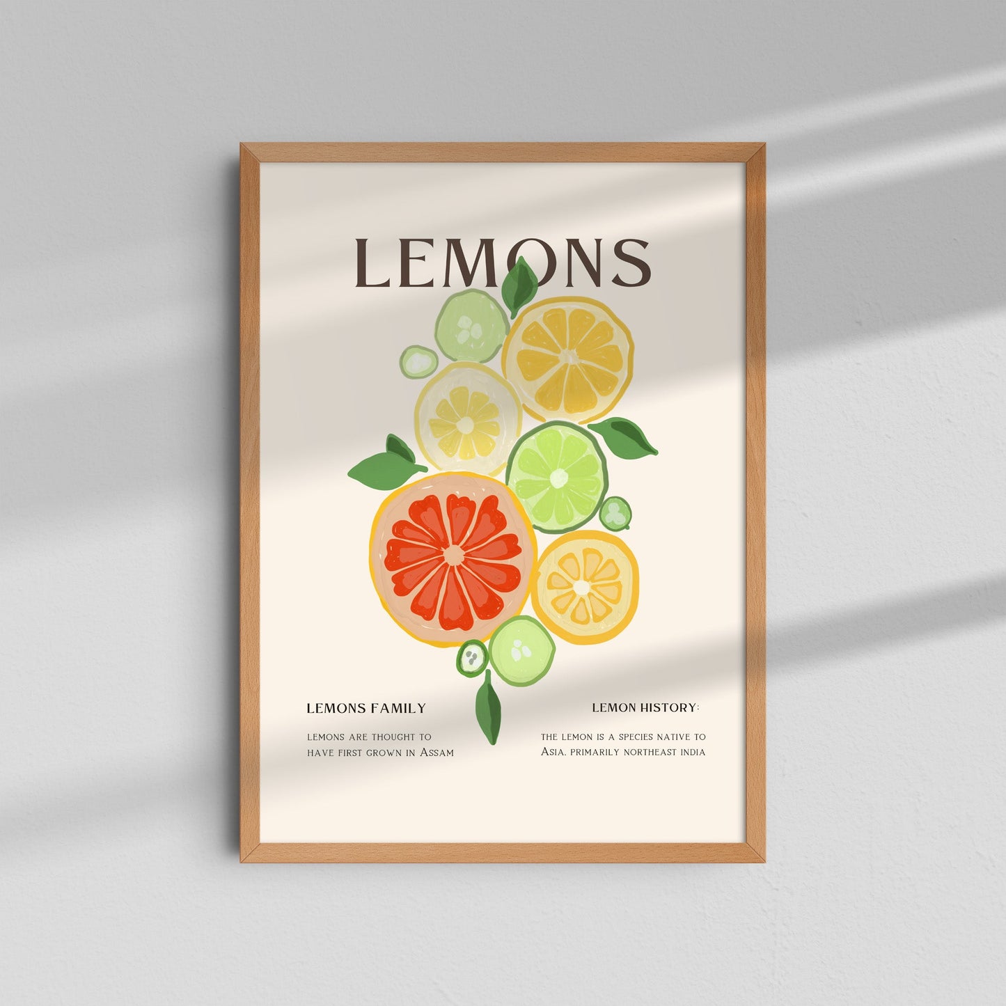 Citrus & Text