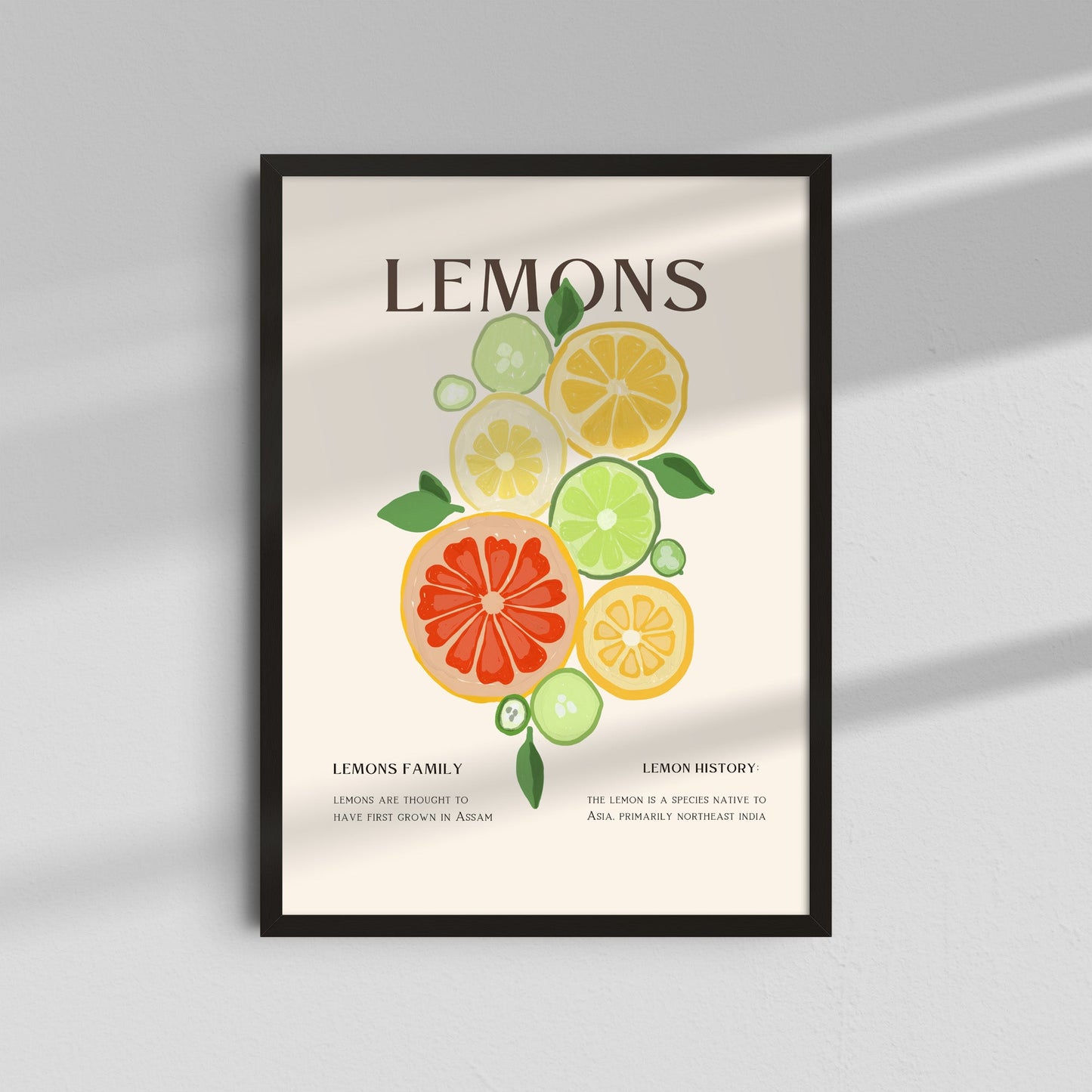 Citrus & Text