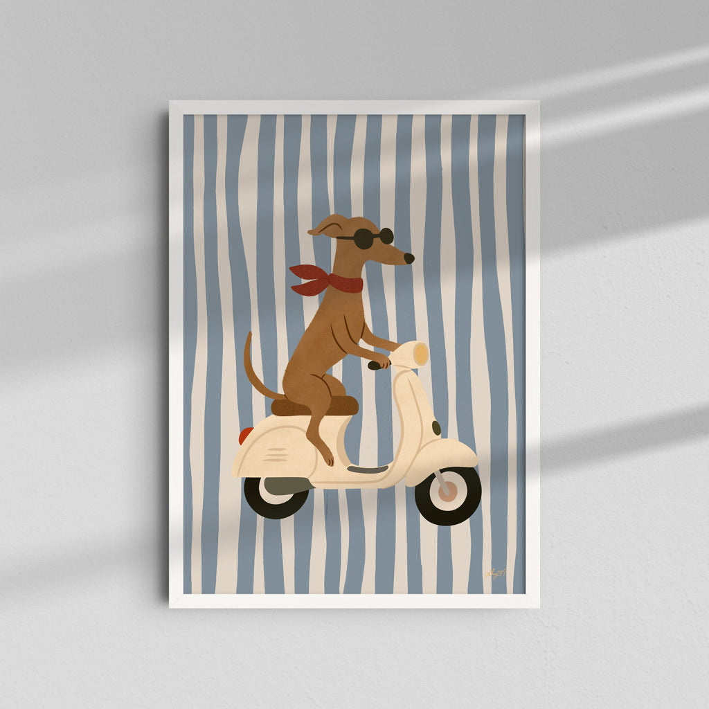 Perro en Scooter