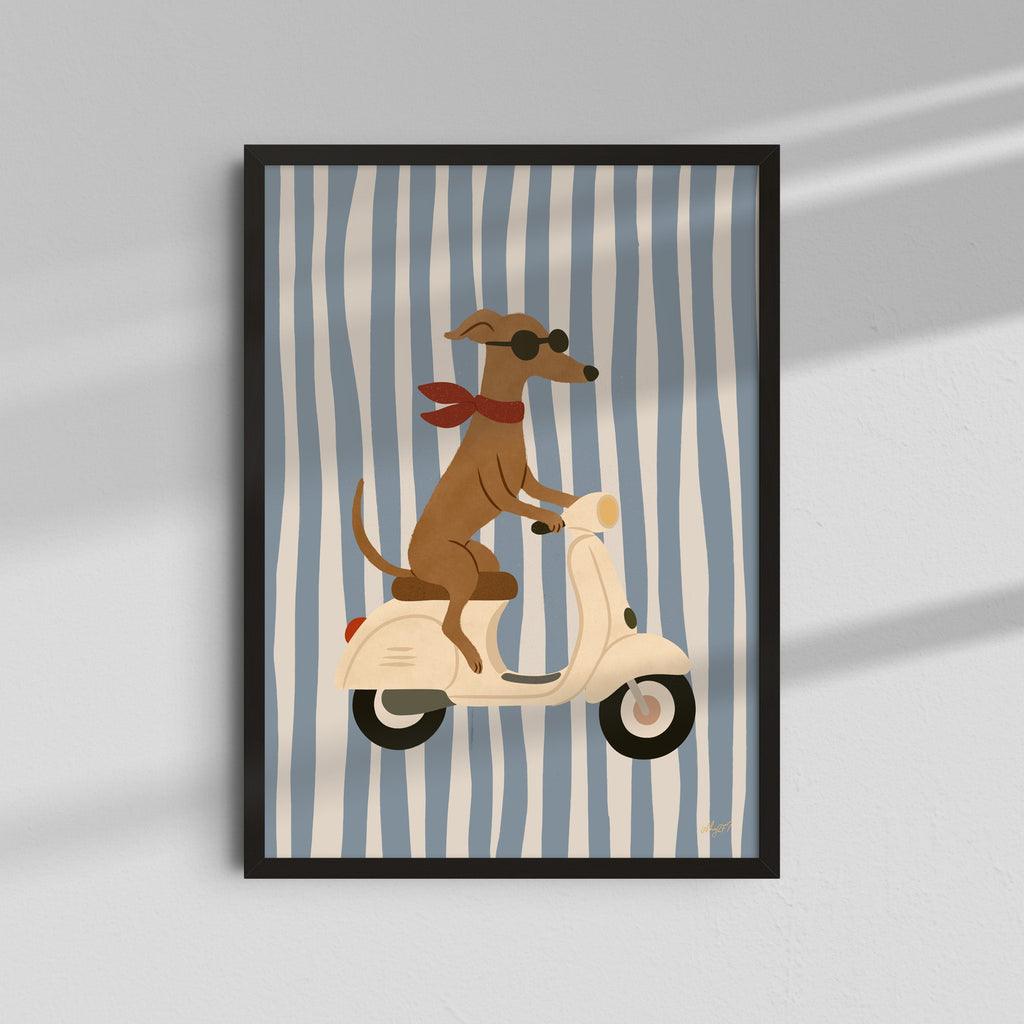 Perro en Scooter