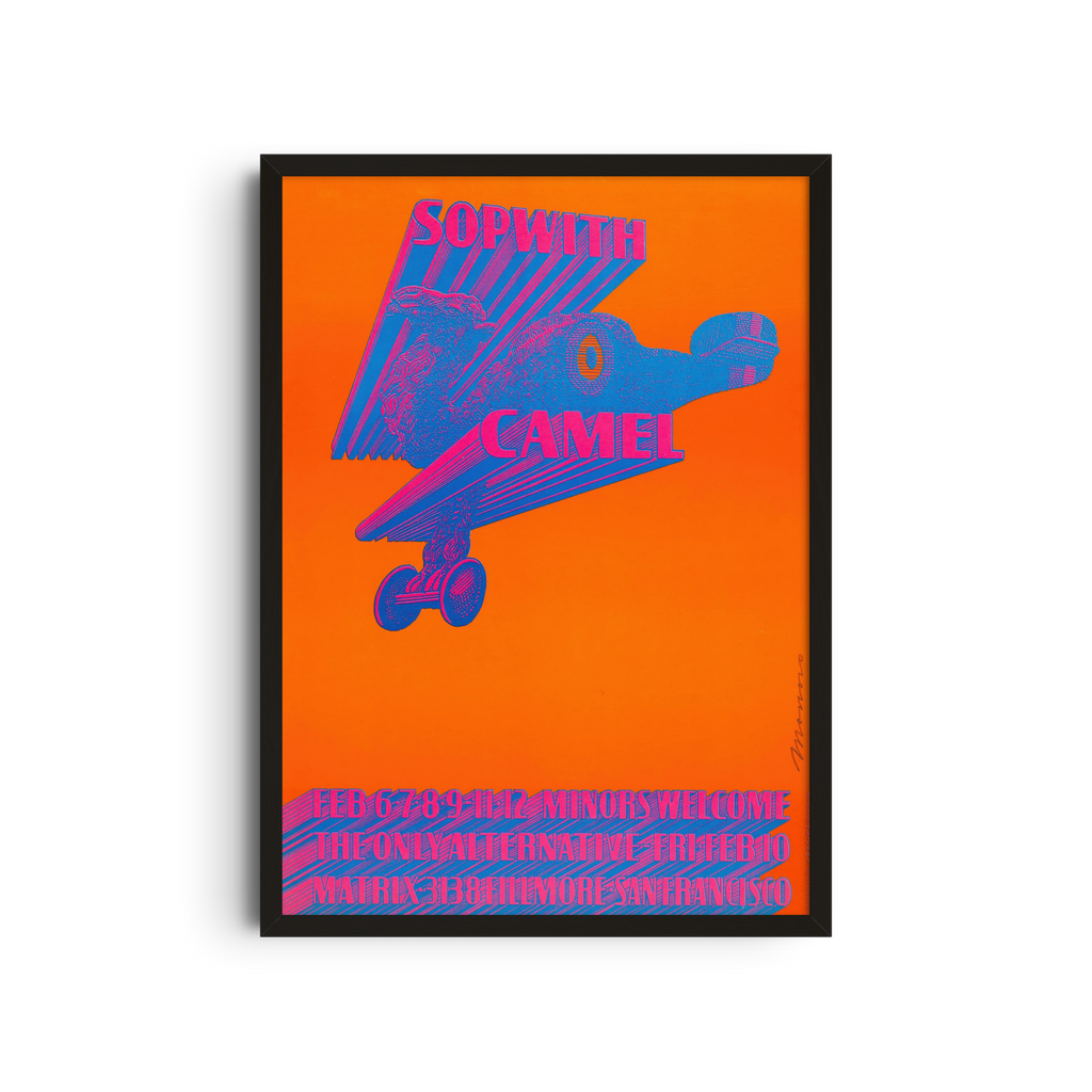 Spirit - Psychedelic Bird