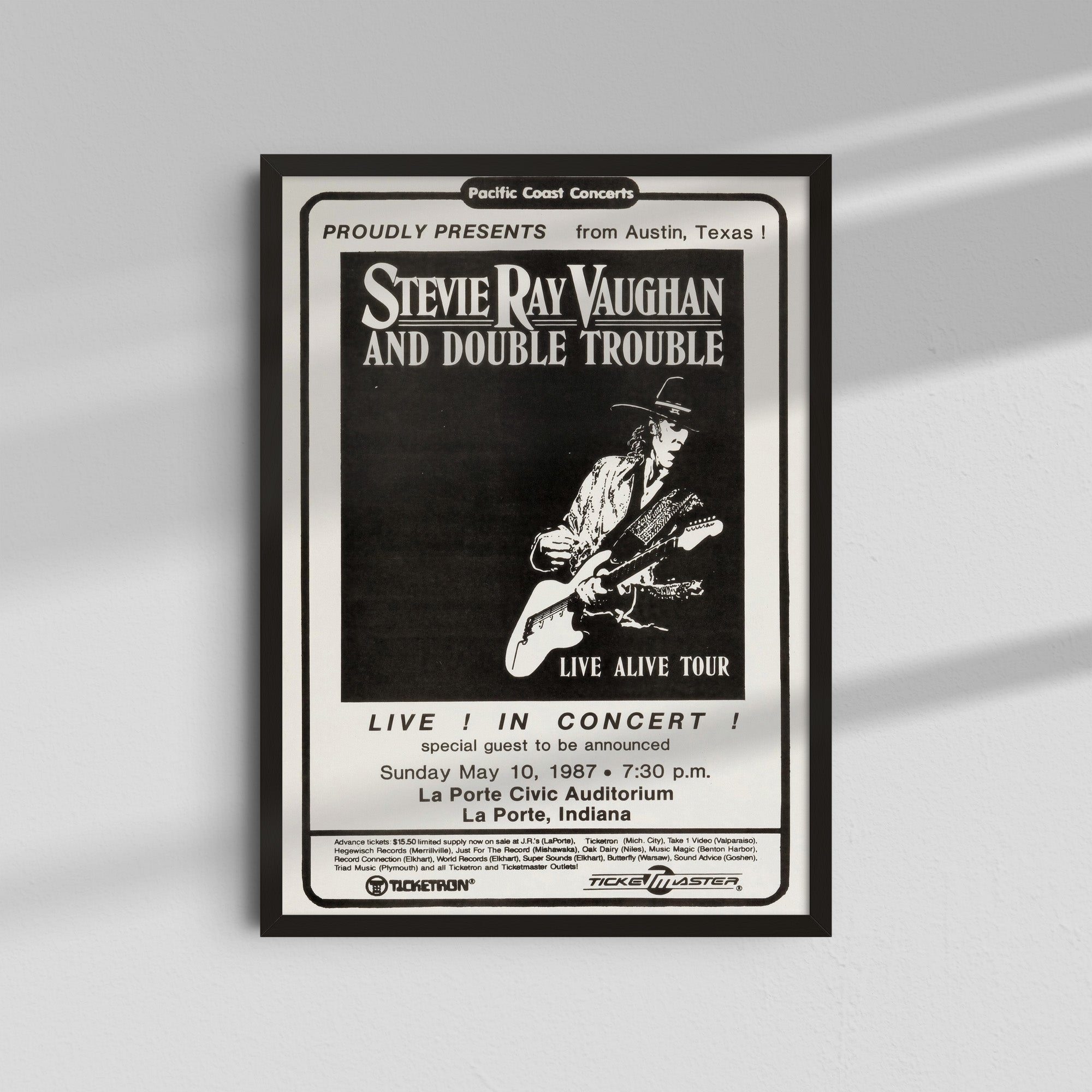 Stevie Ray Vaughan - Live Alive Tour