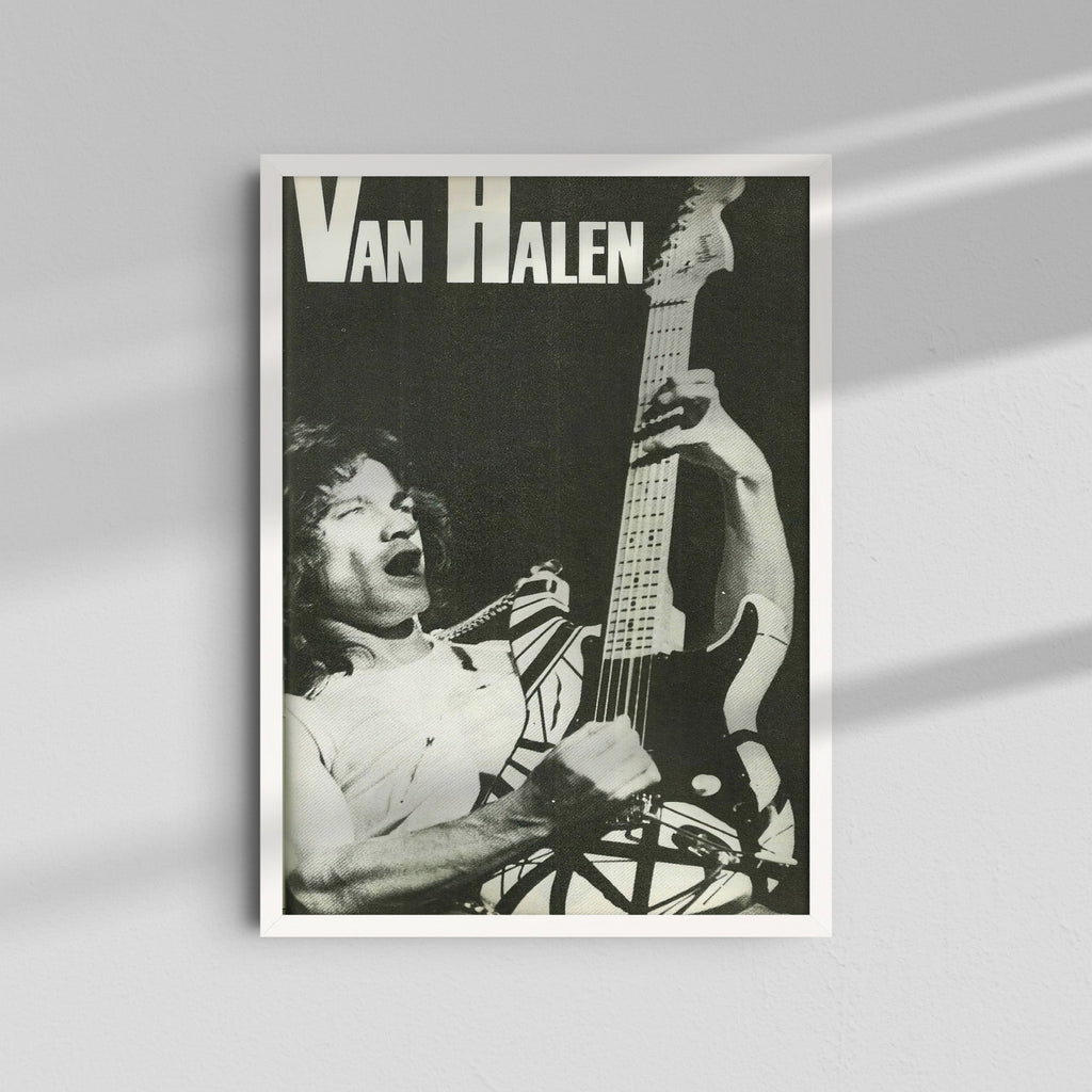 Van Halen - Black and White Guitar