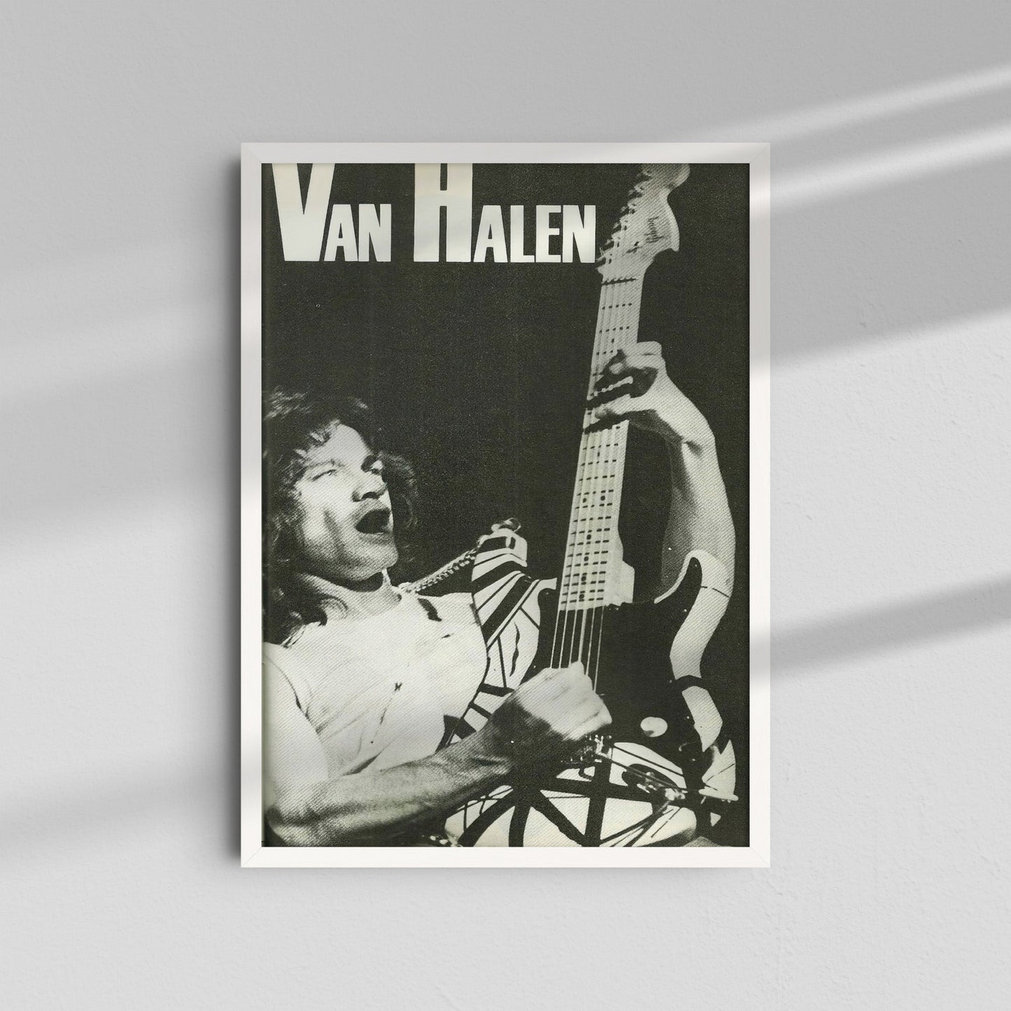 Van Halen - Black and White Guitar