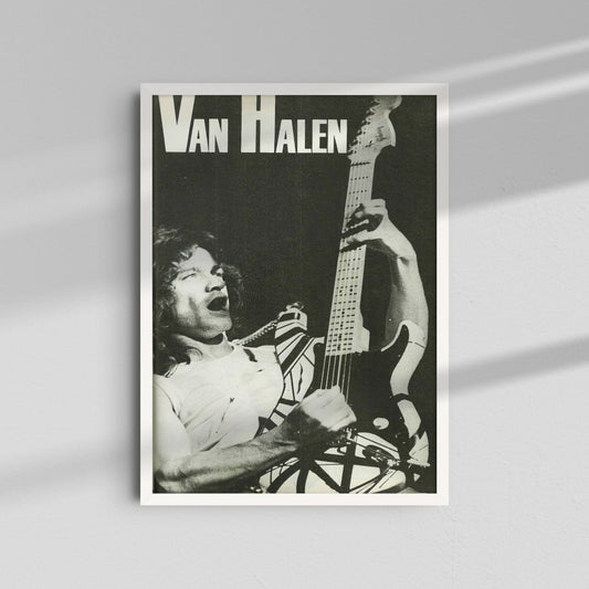 Van Halen - Black and White Guitar