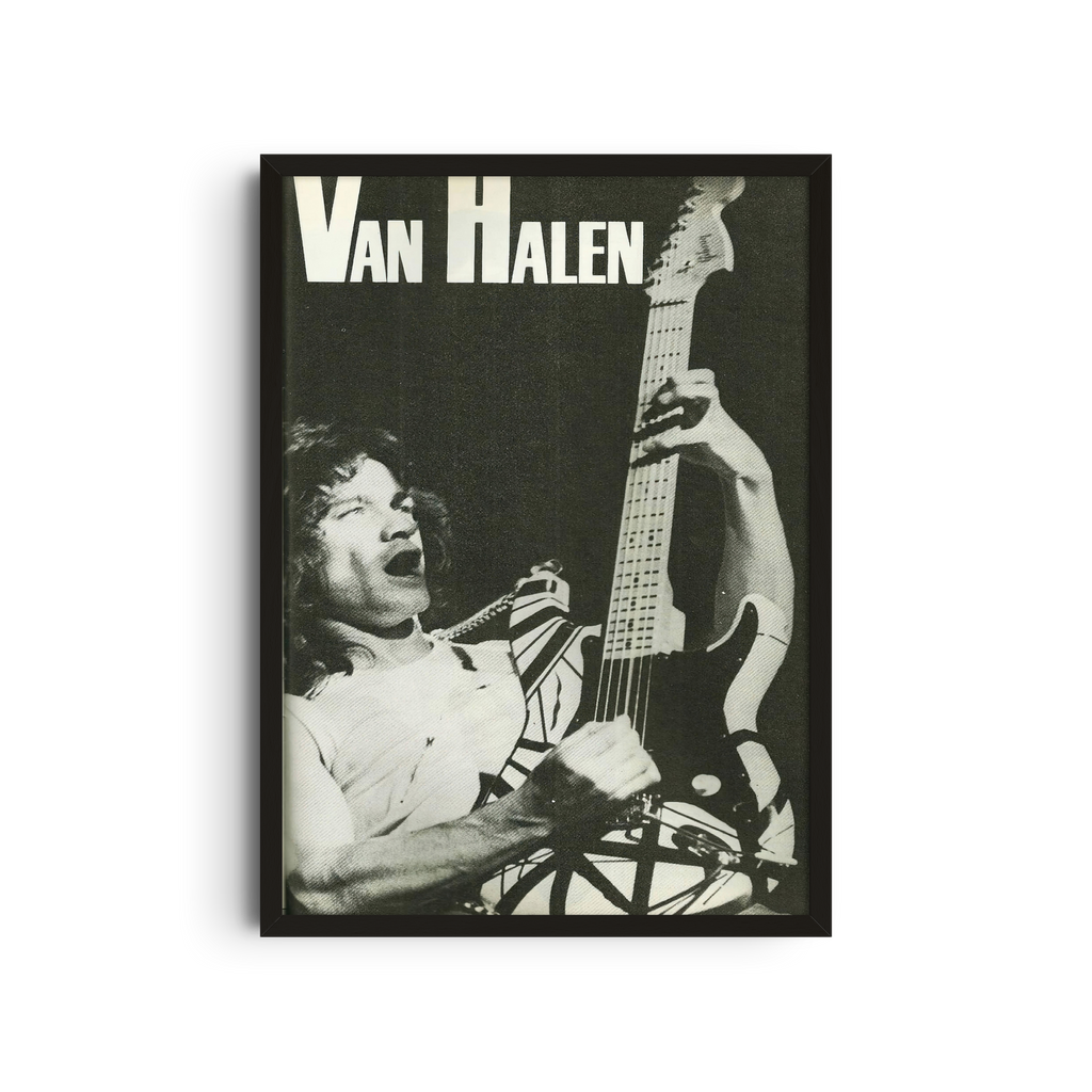 Van Halen - Black and White Guitar
