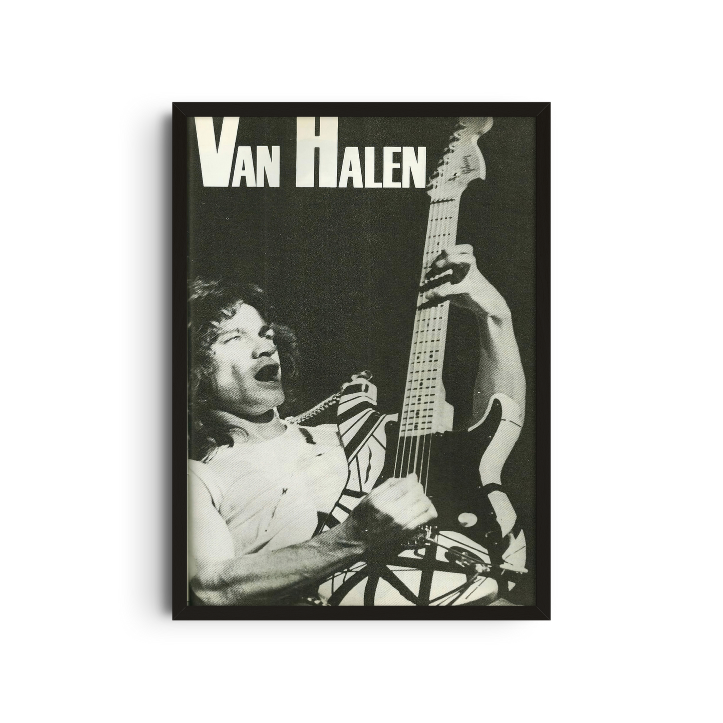 Van Halen - Black and White Guitar