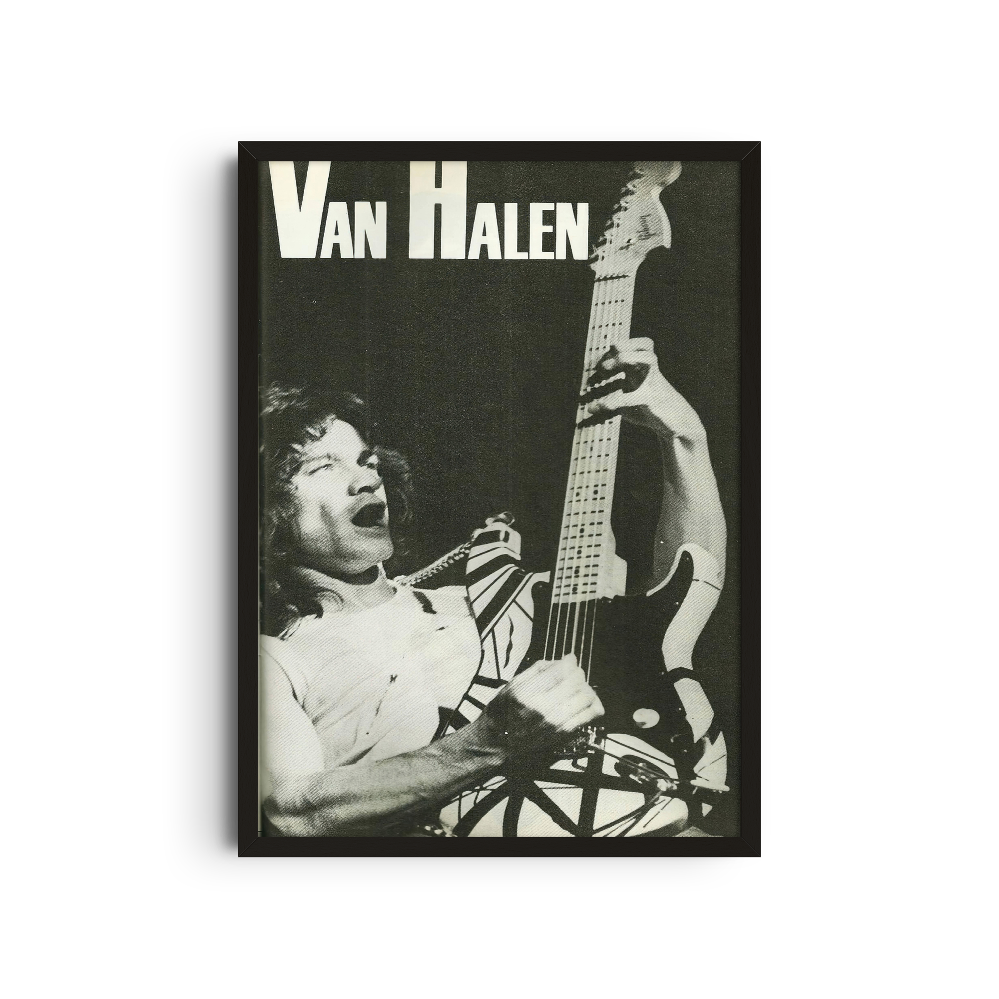 Van Halen - Black and White Guitar