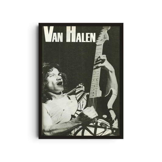 Van Halen - Black and White Guitar
