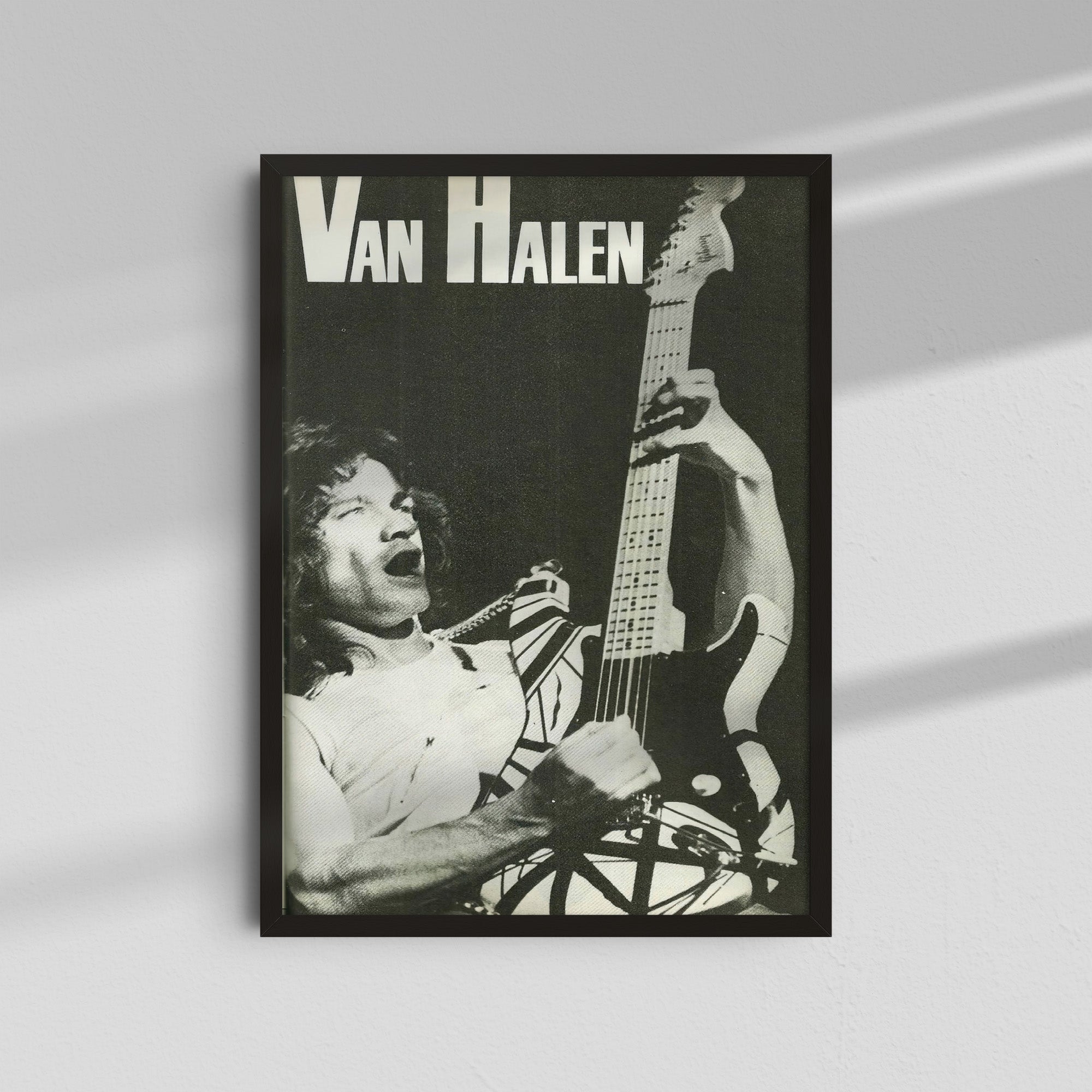 Van Halen - Black and White Guitar