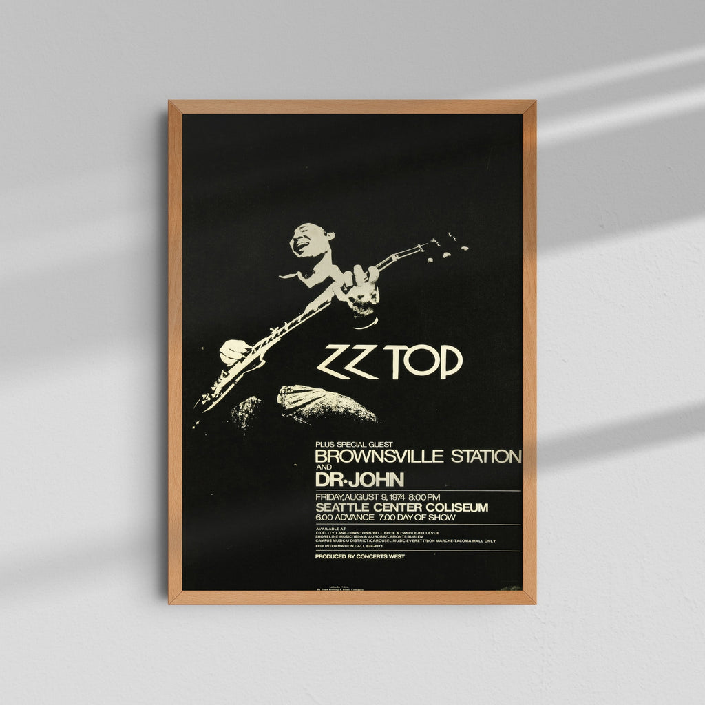 ZZ Top - Brownsville Station