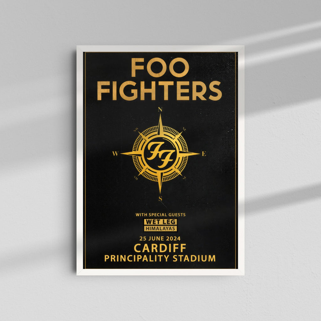Foo Fighters - Cardiff Principality