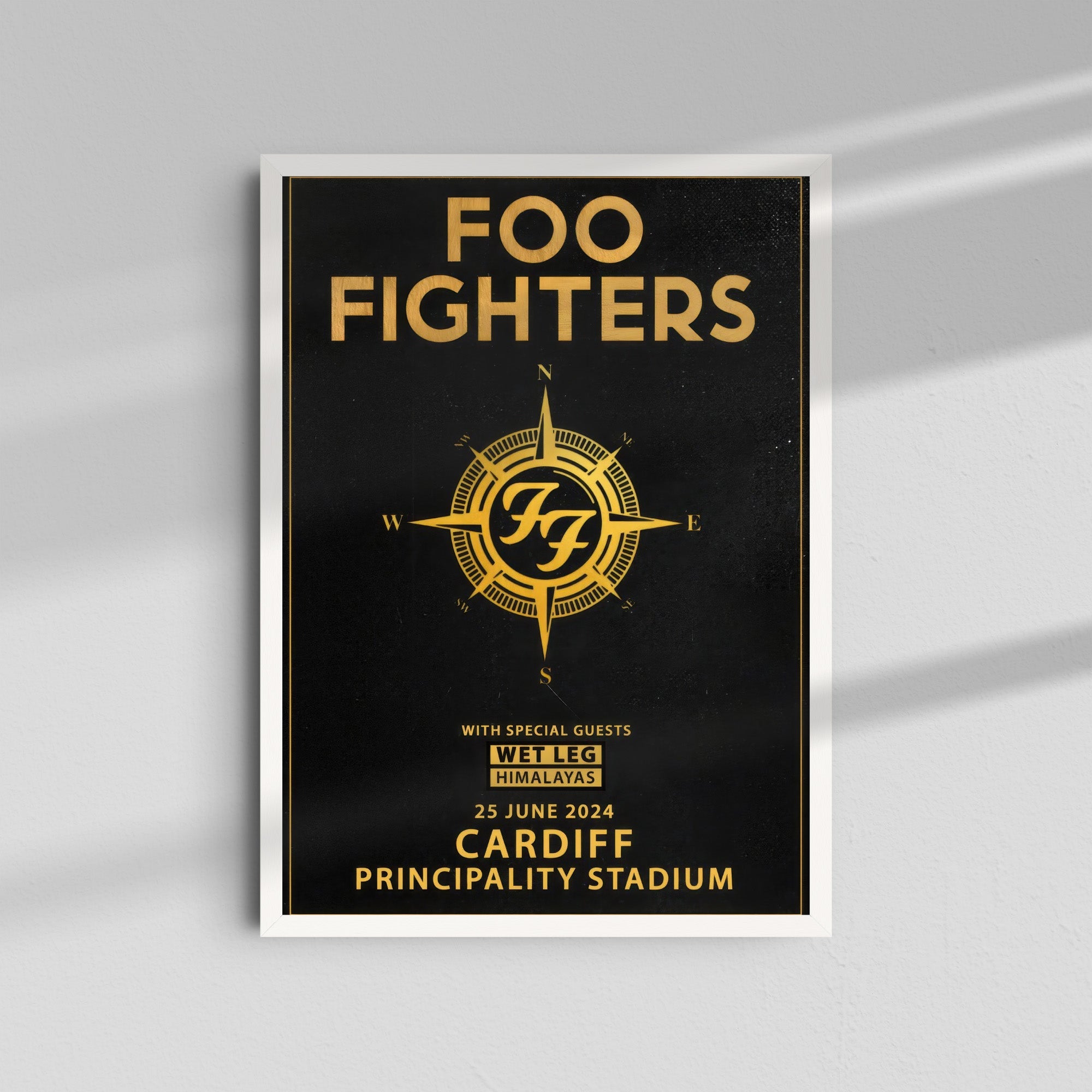 Foo Fighters - Cardiff Principality