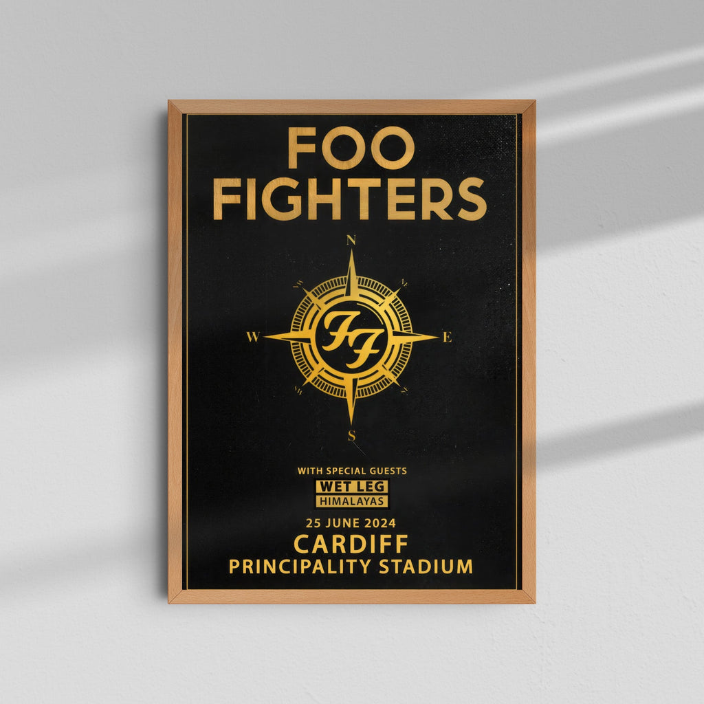 Foo Fighters - Cardiff Principality
