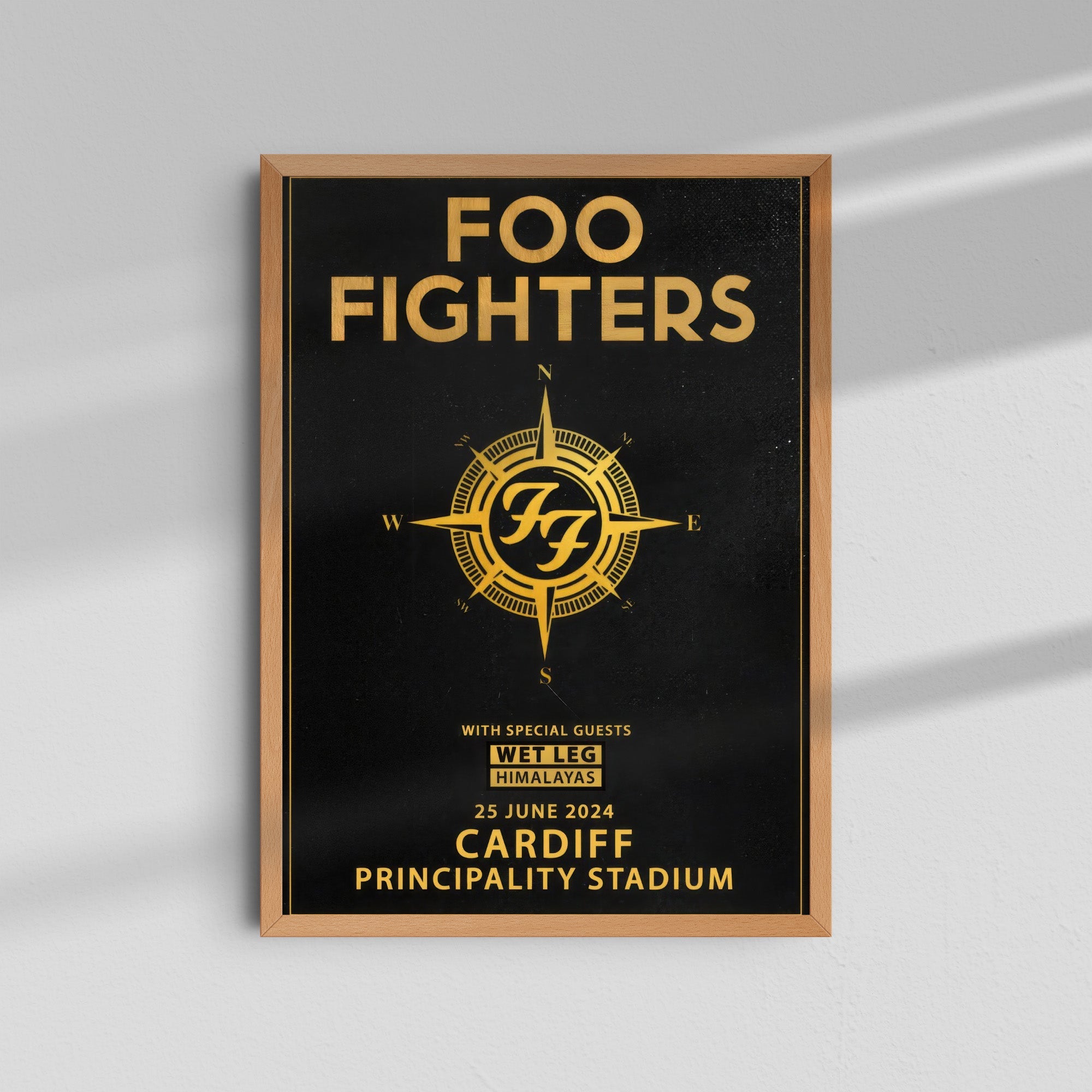 Foo Fighters - Cardiff Principality