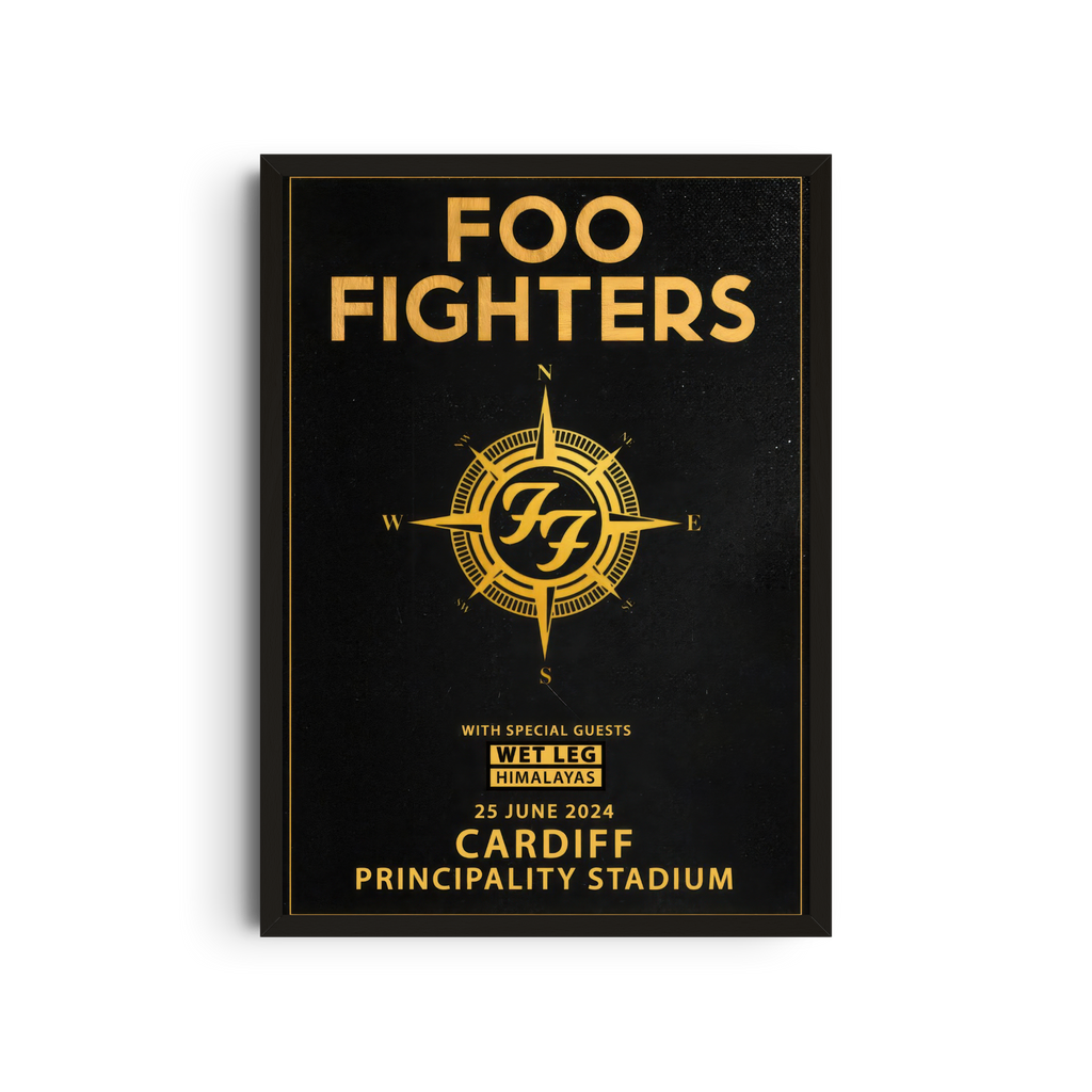 Foo Fighters - Cardiff Principality