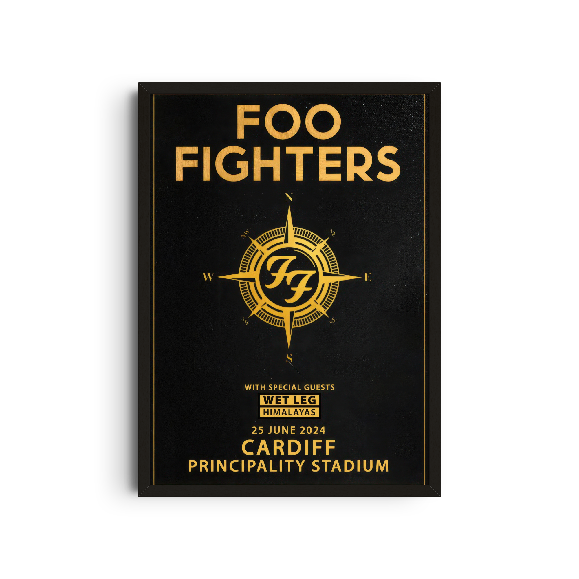 Foo Fighters - Cardiff Principality
