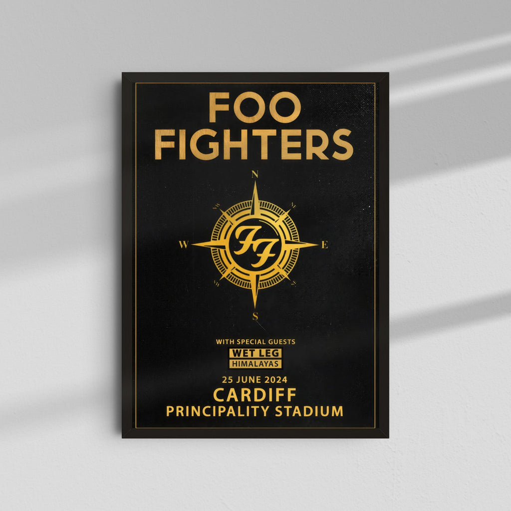 Foo Fighters - Cardiff Principality