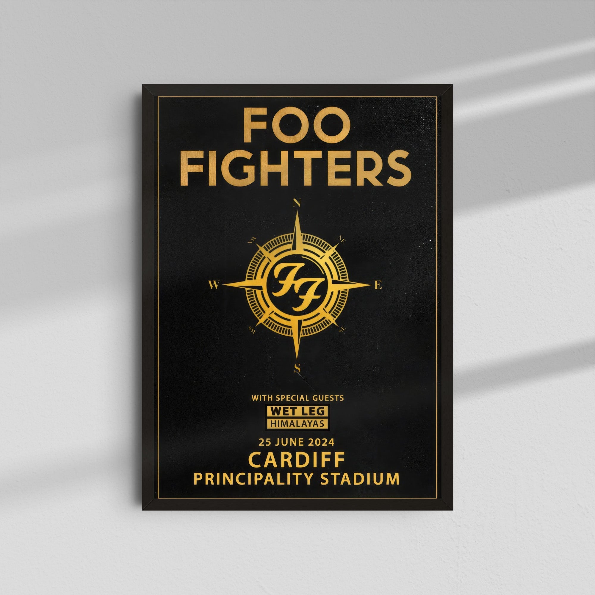 Foo Fighters - Cardiff Principality