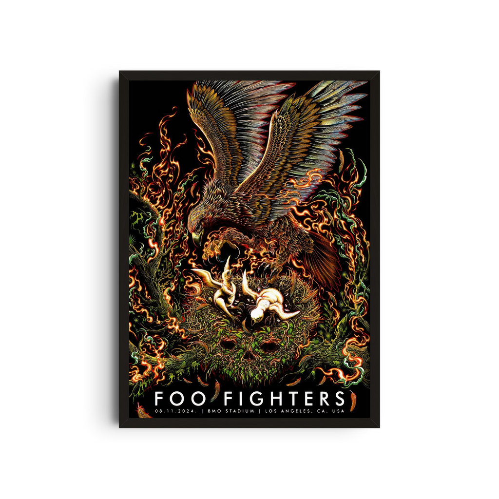 Foo Fighters - Eagle Flame