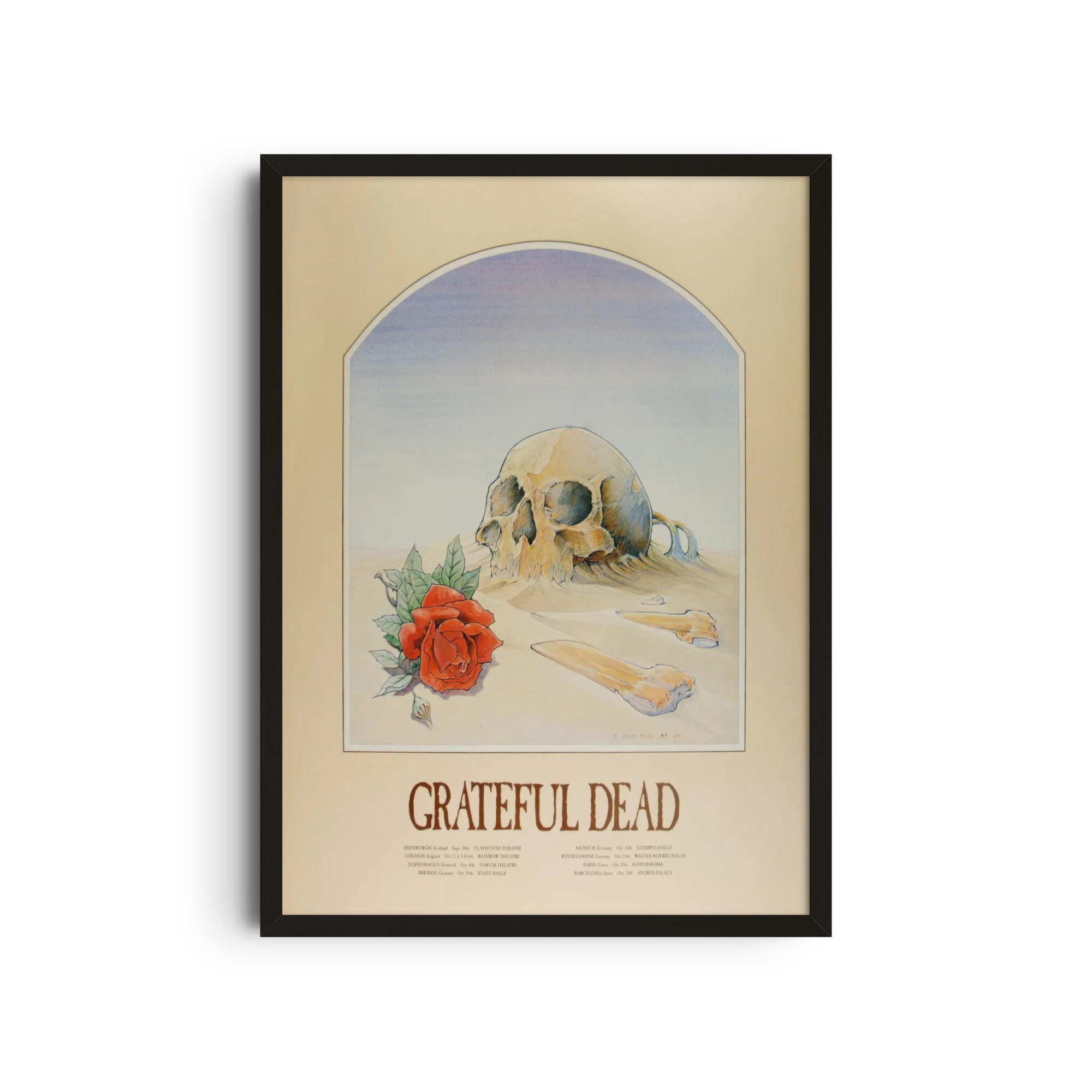 Grateful Dead - Skull Rose