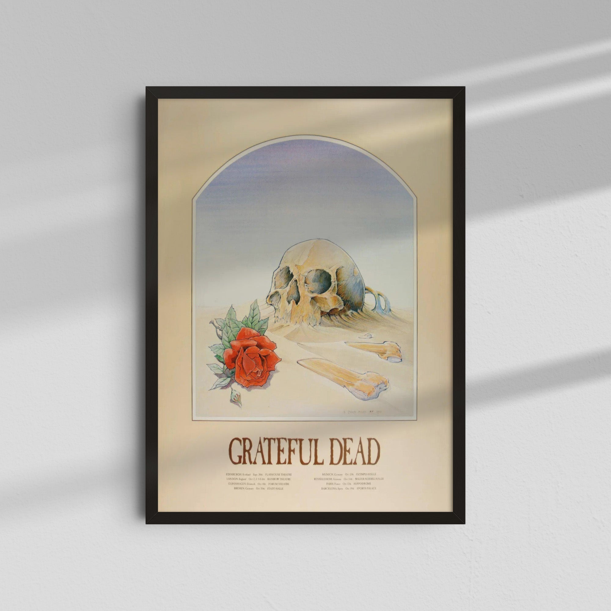 Grateful Dead - Skull Rose
